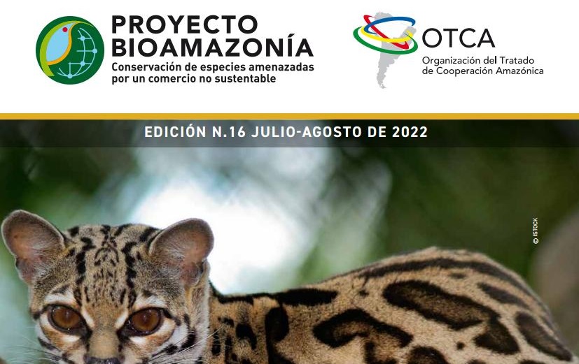 Boletín Bioamazonía Edición 16