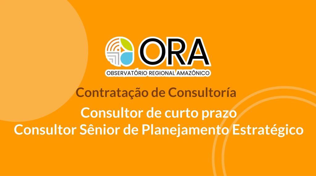 Consultor de Curto Prazo – Consultor Sênior de Planejamento Estratégico